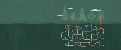 Norway's Solstrand Hotel undergoes a digital transformation with OPERA Cloud