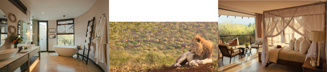 Jumeirah Moves Into Africa With Exclusive Island & Private Safari Reserve